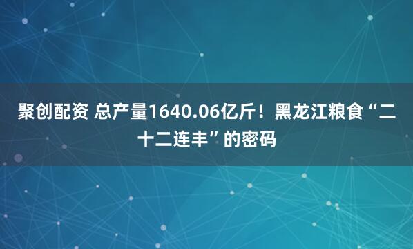 聚创配资 总产量1640.06亿斤！黑龙江粮食“二十二连丰”的密码