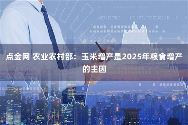 点金网 农业农村部：玉米增产是2025年粮食增产的主因