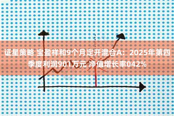 证星策略 宝盈祥和9个月定开混合A：2025年第四季度利润901万元 净值增长率042%