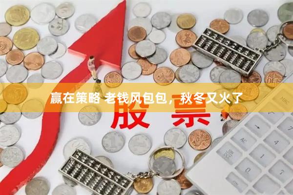 赢在策略 老钱风包包，秋冬又火了